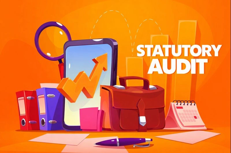 statutory audit